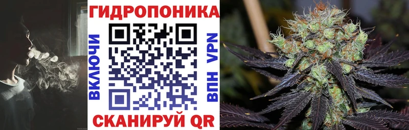Купить наркотик аптеки Бологое ГАШ  Бошки Шишки  СОЛЬ  МЕФ 