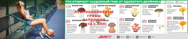 дурь Богданович