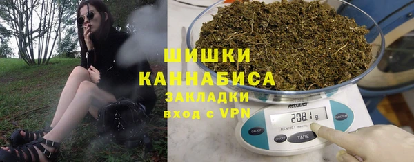 крисы Богородск