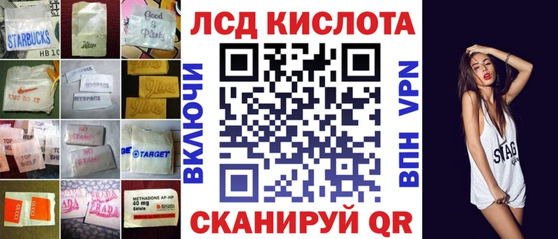 дарнет шоп Бологое Лсд 25 экстази кислота
