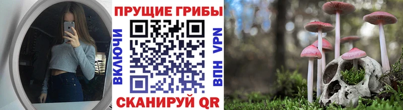hydra ССЫЛКА  Бологое  Галлюциногенные грибы Magic Shrooms 